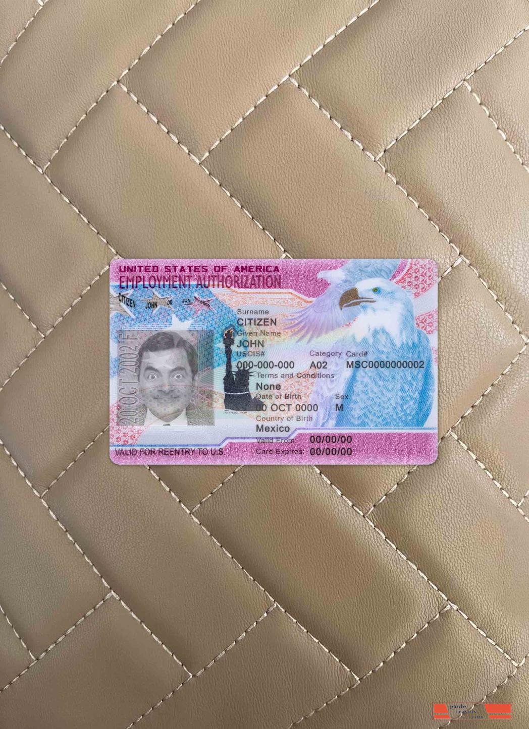 USA employment authorization photolook FRONT PSD template